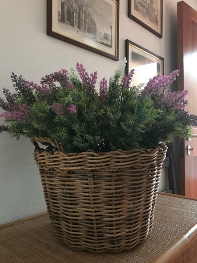 Campo Al Cerro Appartement Bolgheri Buitenkant foto