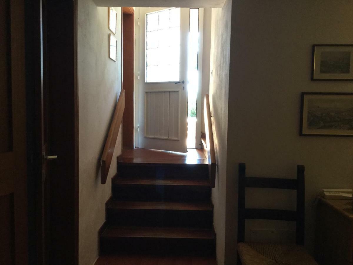 Campo Al Cerro Appartement Bolgheri Buitenkant foto