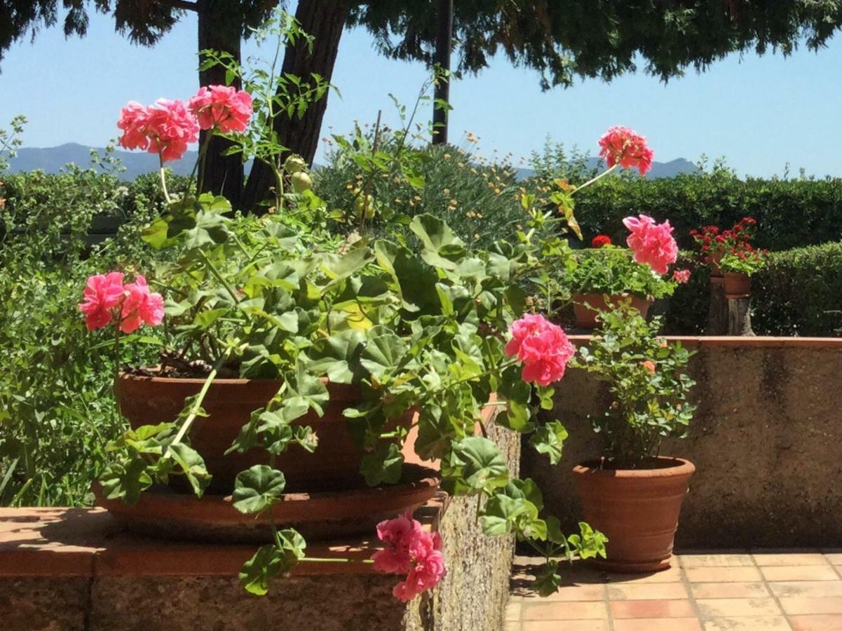 Campo Al Cerro Appartement Bolgheri Buitenkant foto